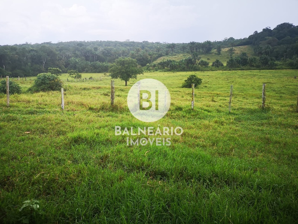 residential-/-land-lot-taruma-manaus-am