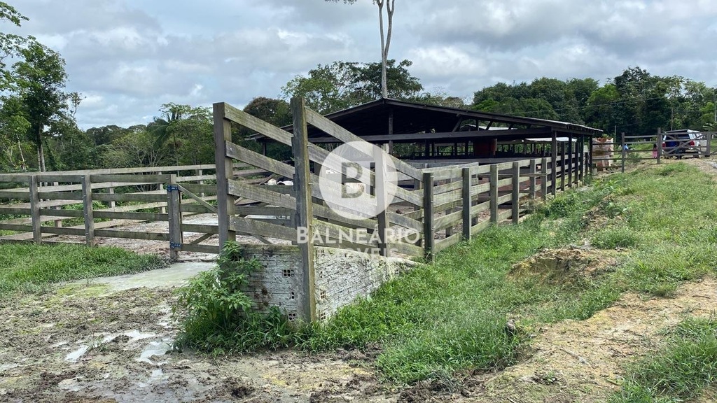 residential-/-land-lot-zona-rural-rio-preto-da-eva-am