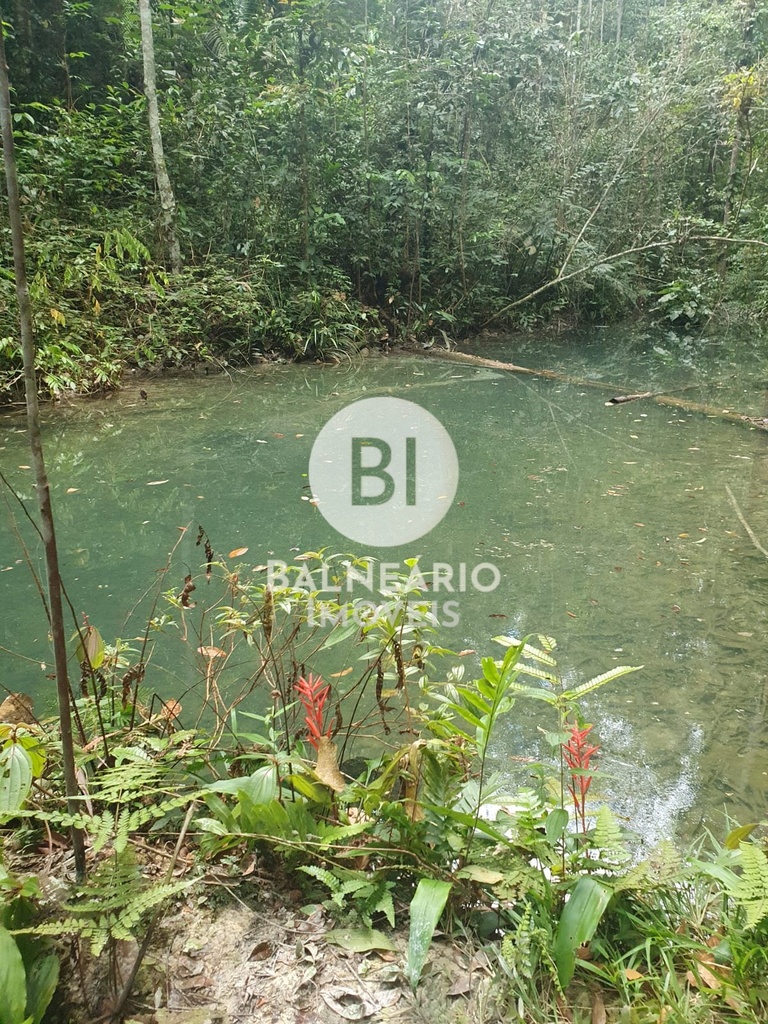 residential-/-land-lot-zona-rural-rio-preto-da-eva-am