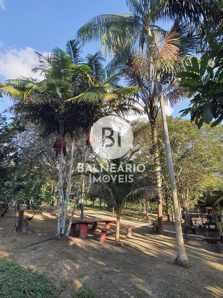 residential-/-land-lot-zona-rural-rio-preto-da-eva-am