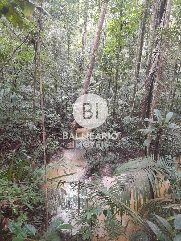 residential-/-land-lot-zona-rural-rio-preto-da-eva-am