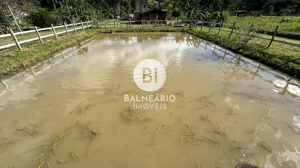 commercial-/-agricultural-3-quartos-5m2-area-rural-de-camboriu-camboriu-sc