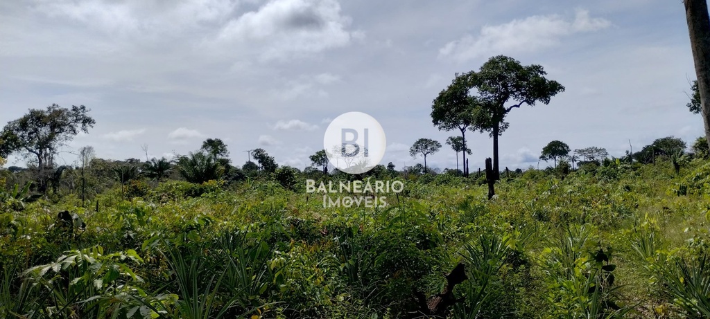 commercial-/-agricultural-zona-rural-careiro-am