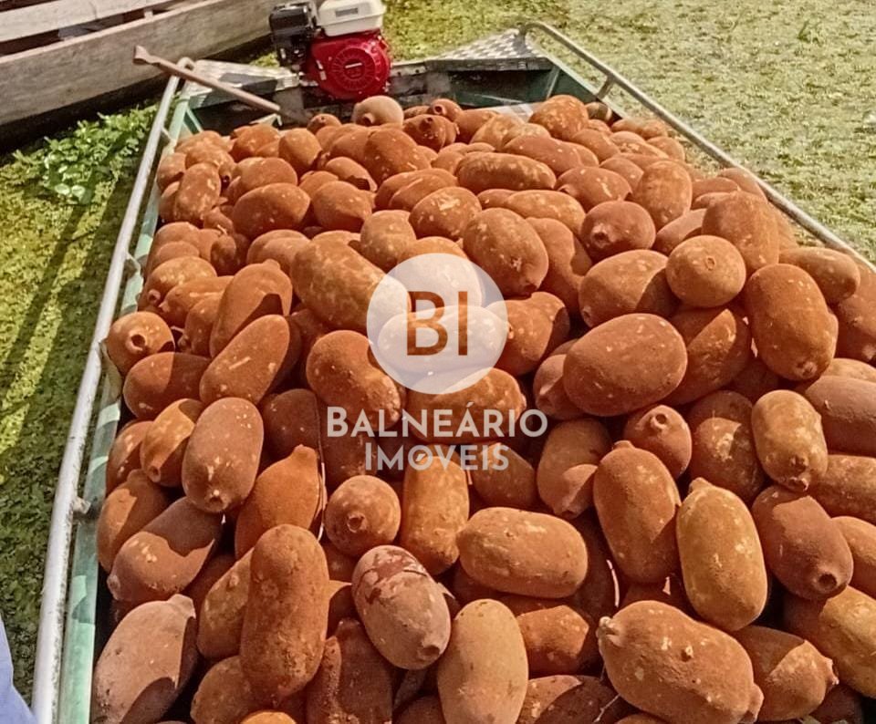 commercial-/-agricultural-zona-rural-careiro-am