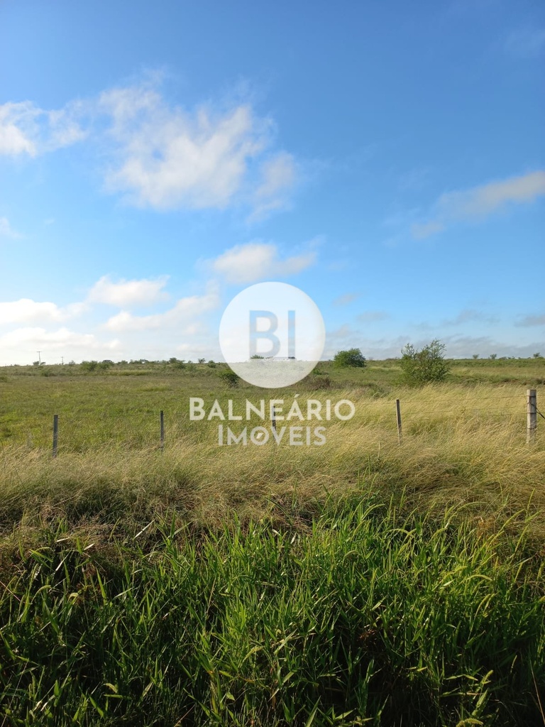 commercial-/-agricultural-area-rural-de-alegrete-alegrete-rs