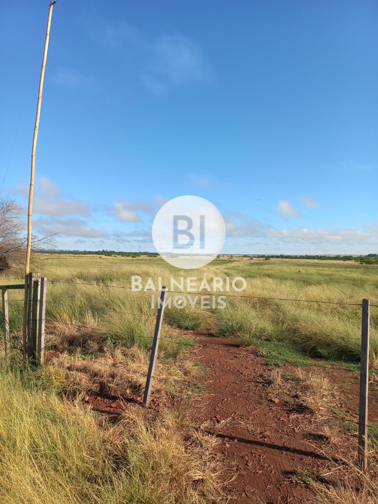 commercial-/-agricultural-area-rural-de-alegrete-alegrete-rs