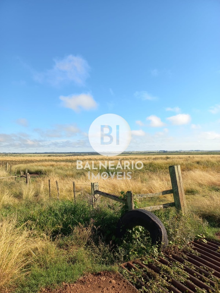 commercial-/-agricultural-area-rural-de-alegrete-alegrete-rs