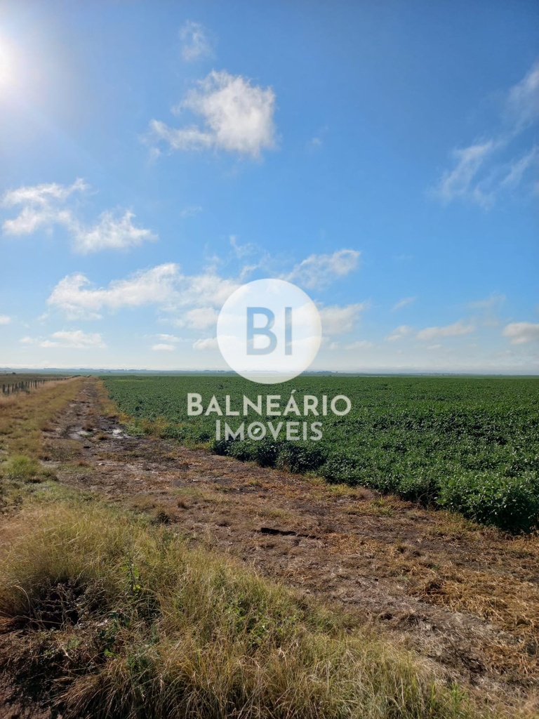 commercial-/-agricultural-area-rural-de-alegrete-alegrete-rs