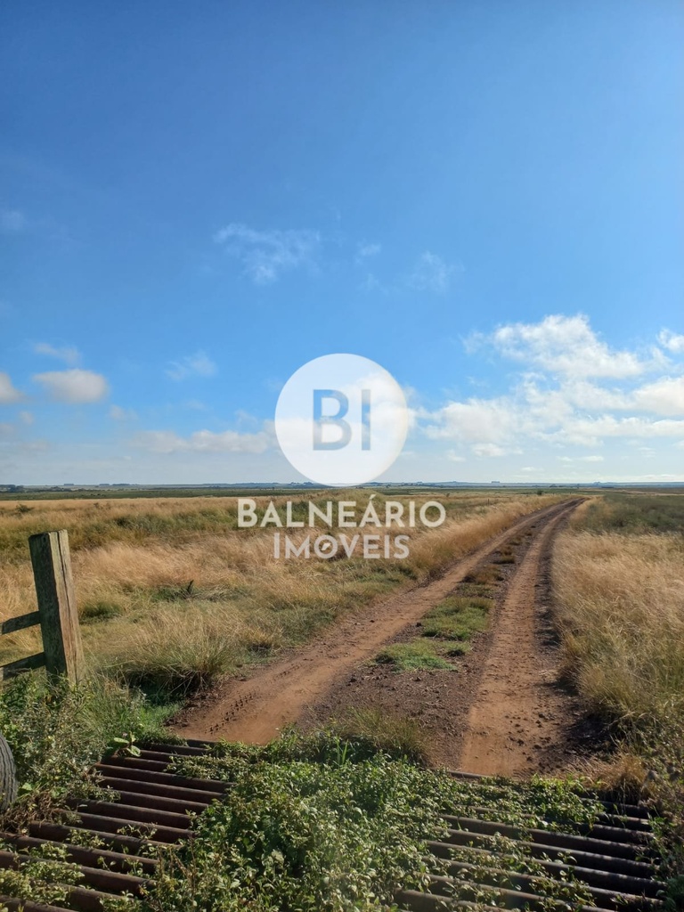 commercial-/-agricultural-area-rural-de-alegrete-alegrete-rs