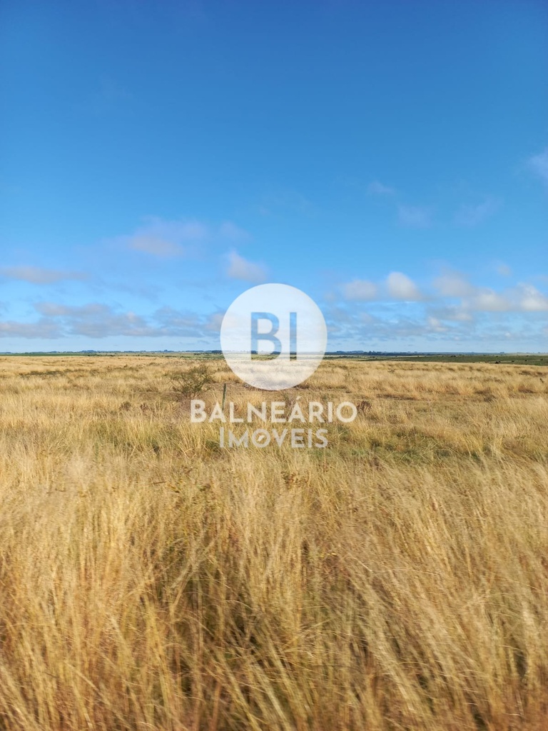 commercial-/-agricultural-area-rural-de-alegrete-alegrete-rs