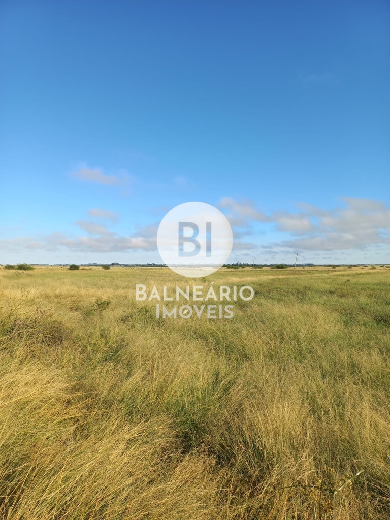 commercial-/-agricultural-area-rural-de-alegrete-alegrete-rs