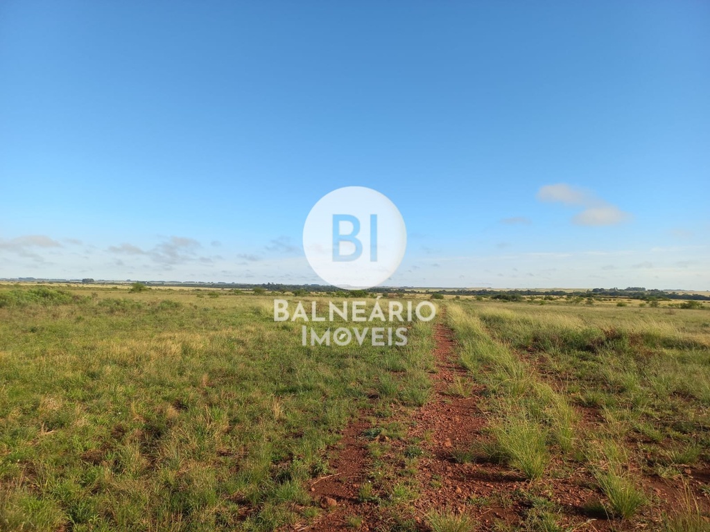 commercial-/-agricultural-area-rural-de-alegrete-alegrete-rs