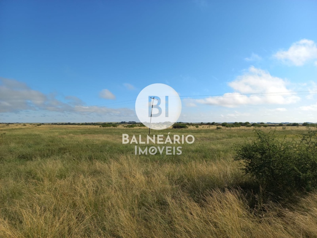 commercial-/-agricultural-area-rural-de-alegrete-alegrete-rs