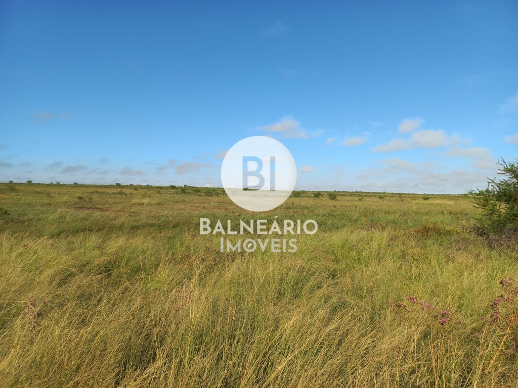 commercial-/-agricultural-area-rural-de-alegrete-alegrete-rs