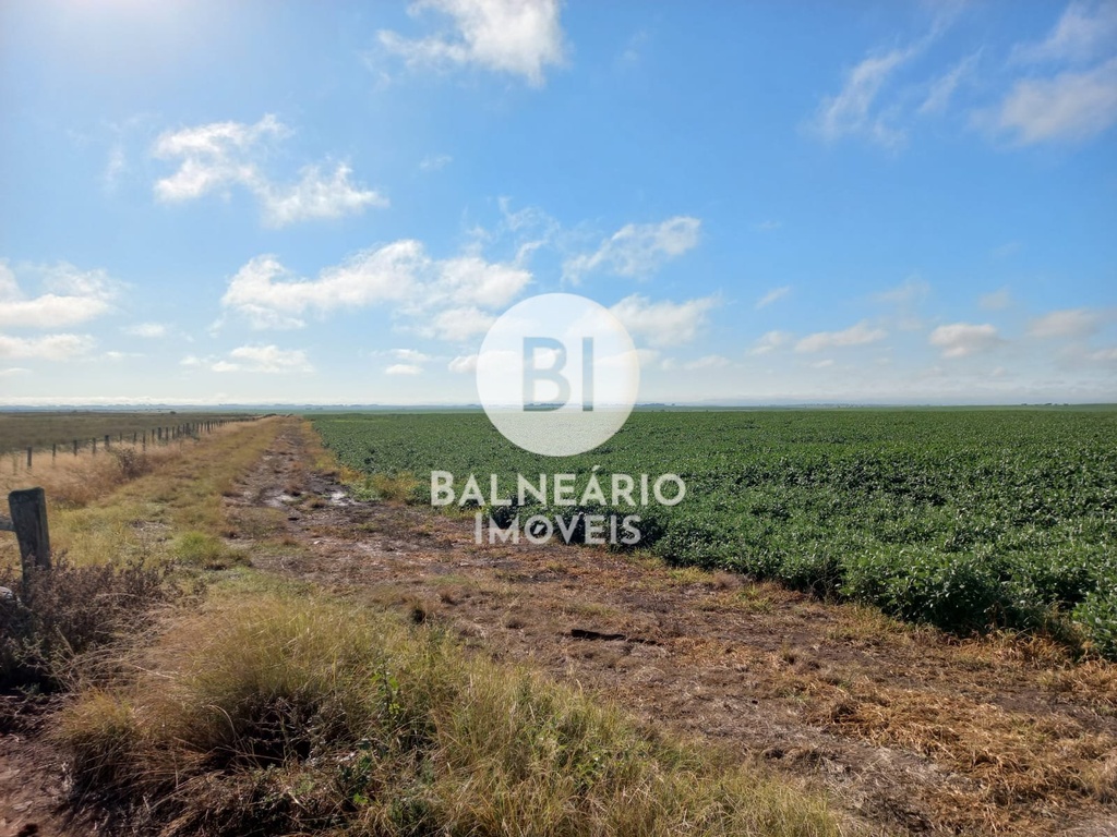 commercial-/-agricultural-area-rural-de-alegrete-alegrete-rs