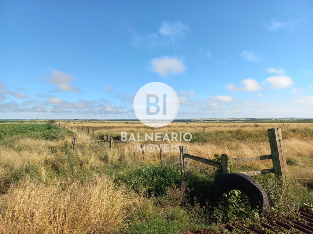 commercial-/-agricultural-area-rural-de-alegrete-alegrete-rs