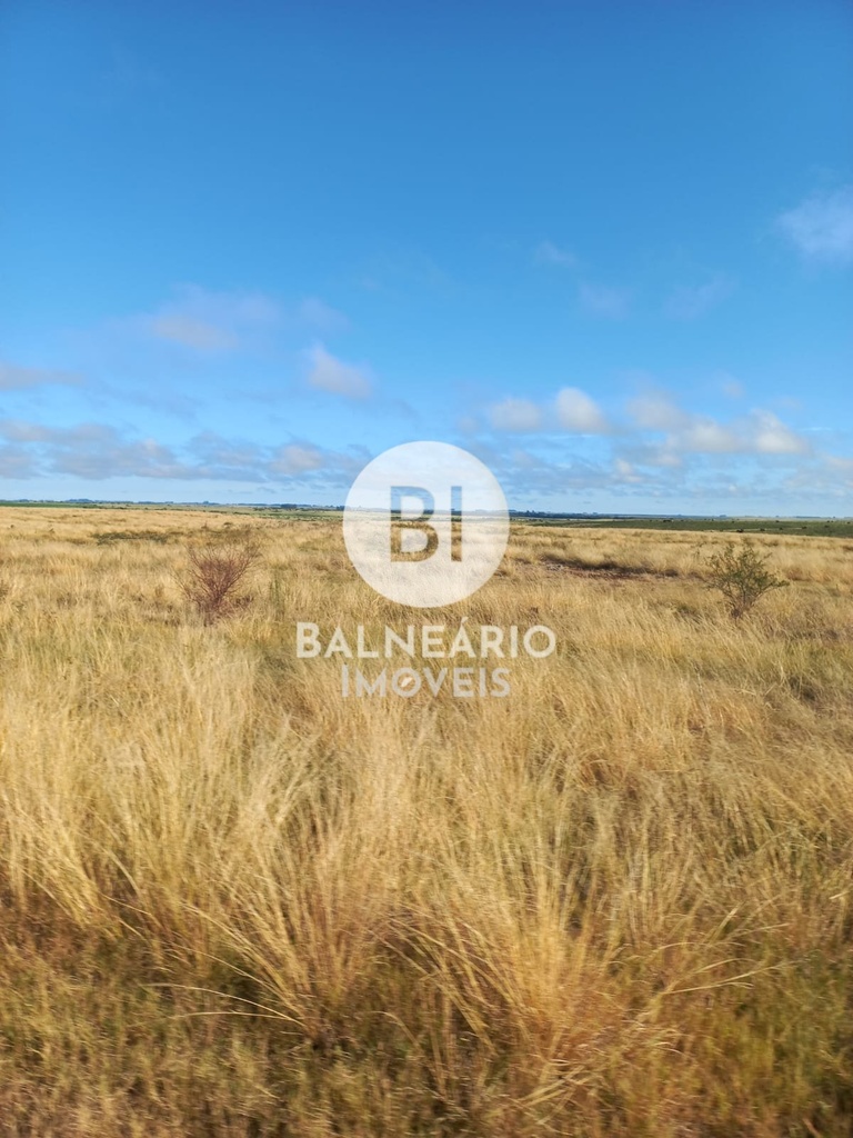 commercial-/-agricultural-area-rural-de-alegrete-alegrete-rs