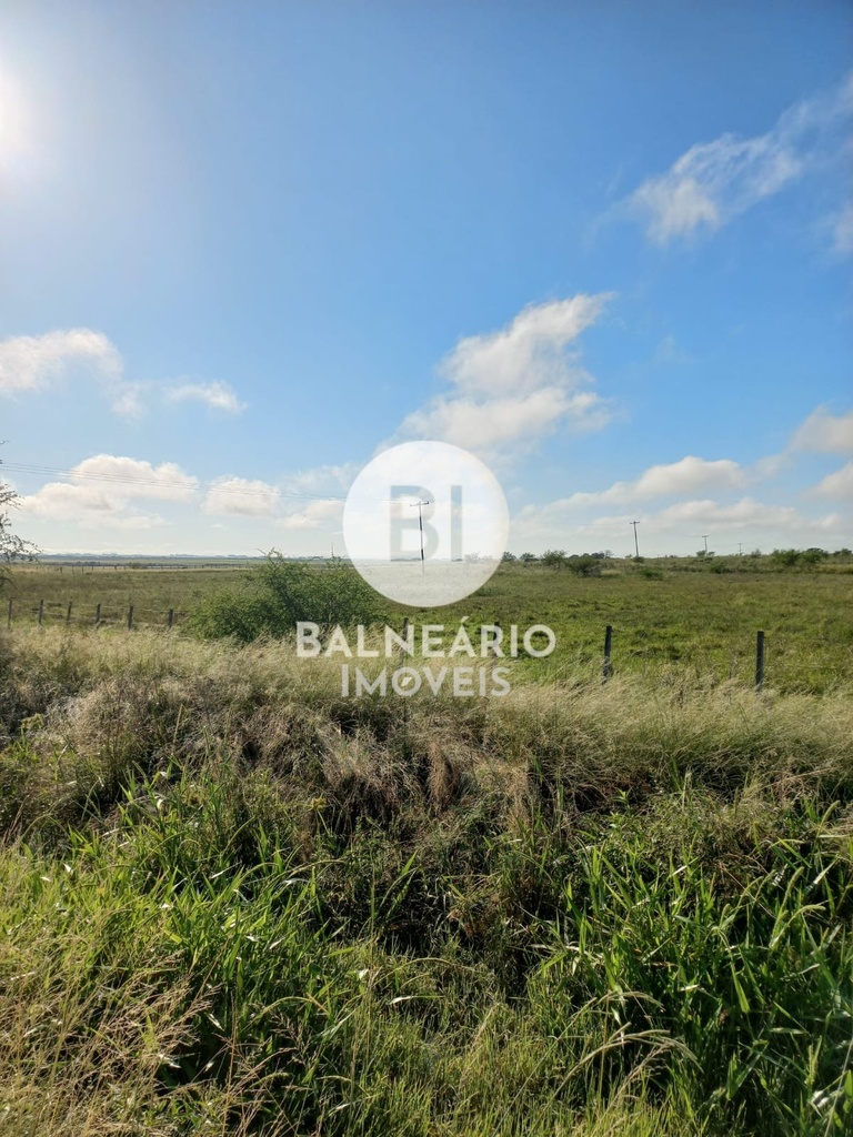 commercial-/-agricultural-zona-rural-sao-vicente-do-sul-rs