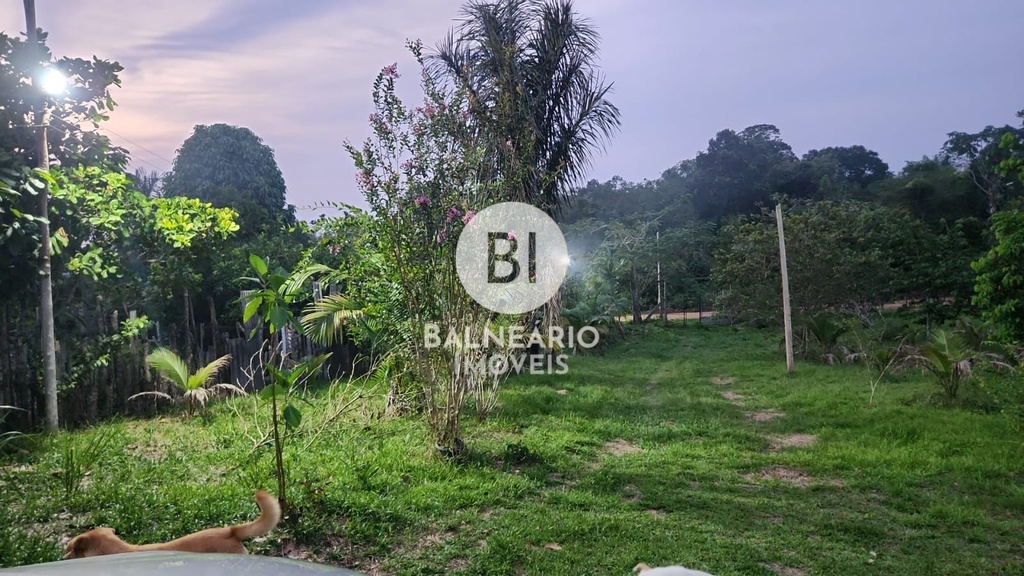 residential-/-farm-ranch-2-quartos-zona-rural-rio-preto-da-eva-am