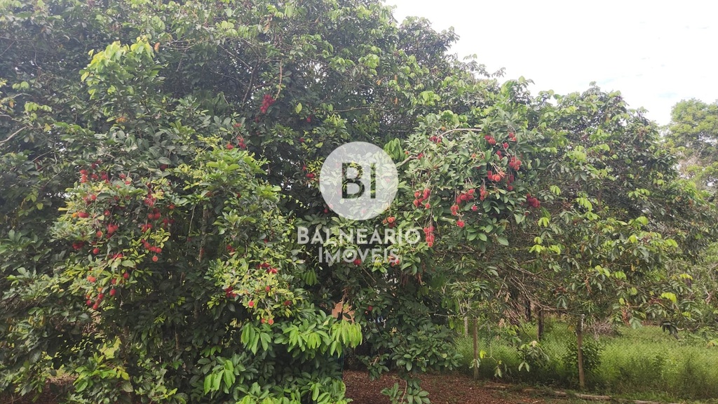 residential-/-farm-ranch-2-quartos-zona-rural-rio-preto-da-eva-am