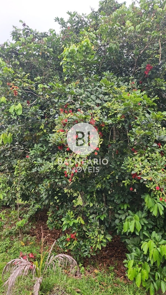 residential-/-farm-ranch-2-quartos-zona-rural-rio-preto-da-eva-am