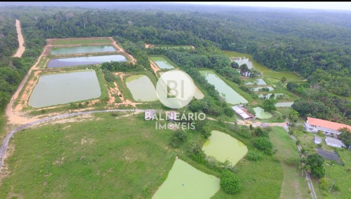 commercial-/-agricultural-zona-rura-rio-preto-da-eva-am