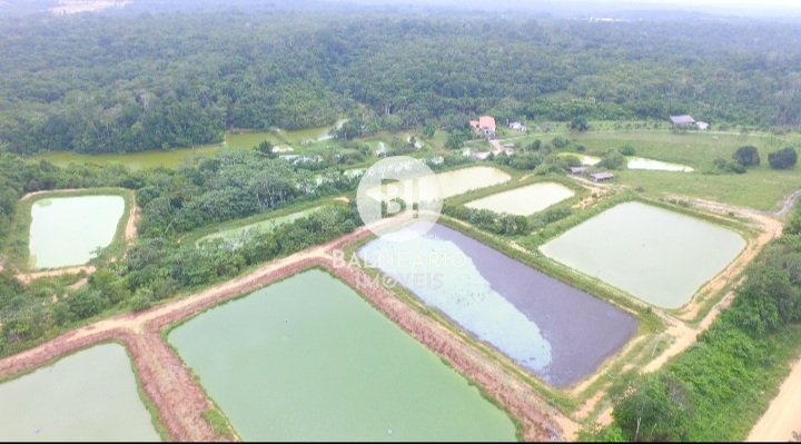 commercial-/-agricultural-zona-rura-rio-preto-da-eva-am