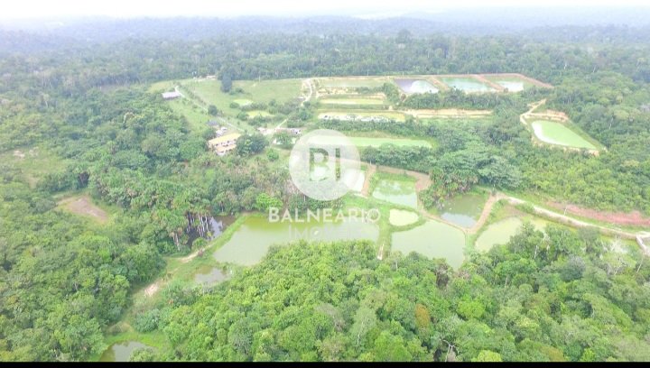 commercial-/-agricultural-zona-rura-rio-preto-da-eva-am