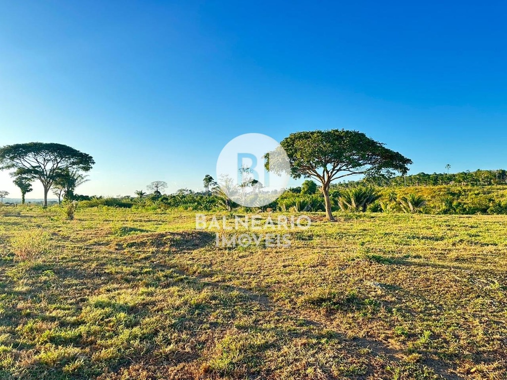 commercial-/-agricultural-zona-rura-guaranta-do-norte-mt