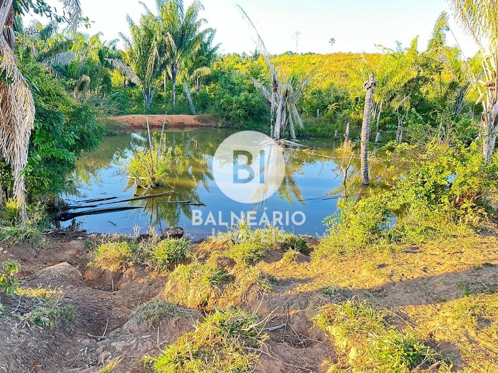 commercial-/-agricultural-zona-rura-guaranta-do-norte-mt