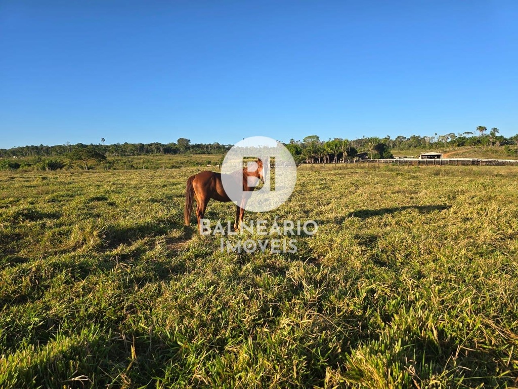 commercial-/-agricultural-zona-rura-guaranta-do-norte-mt
