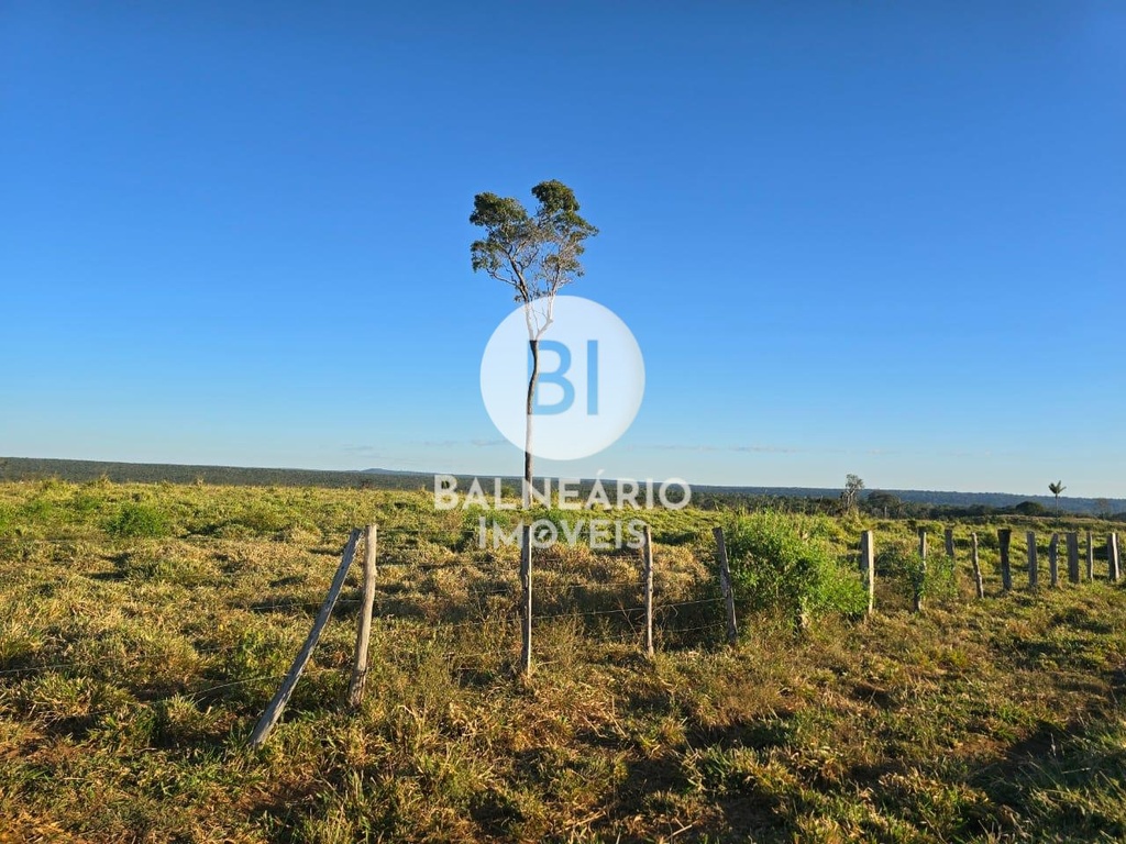 commercial-/-agricultural-zona-rura-guaranta-do-norte-mt
