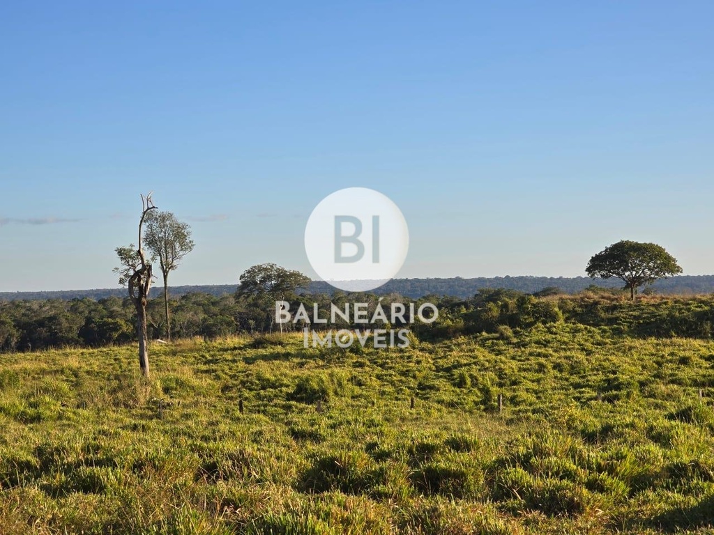 commercial-/-agricultural-zona-rura-guaranta-do-norte-mt
