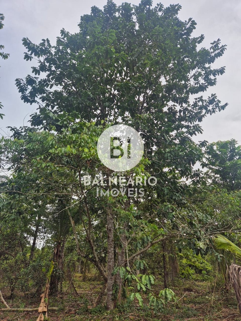 commercial-/-agricultural-2-quartos-ipora-rio-preto-da-eva-am