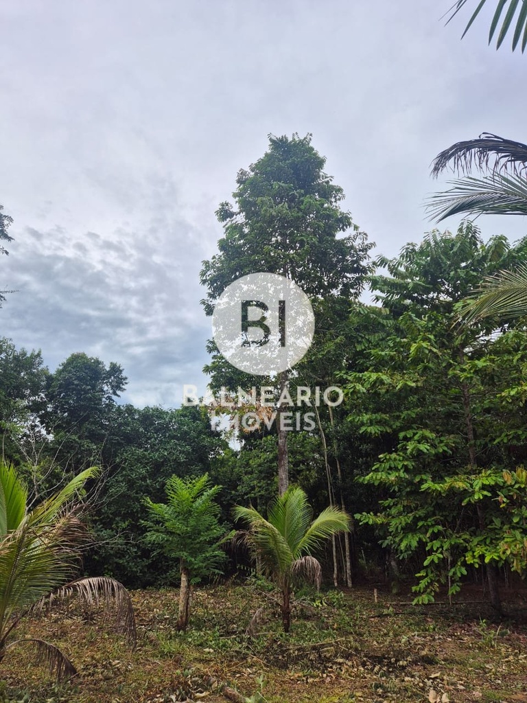 commercial-/-agricultural-2-quartos-ipora-rio-preto-da-eva-am