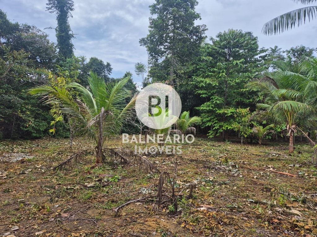 commercial-/-agricultural-2-quartos-ipora-rio-preto-da-eva-am
