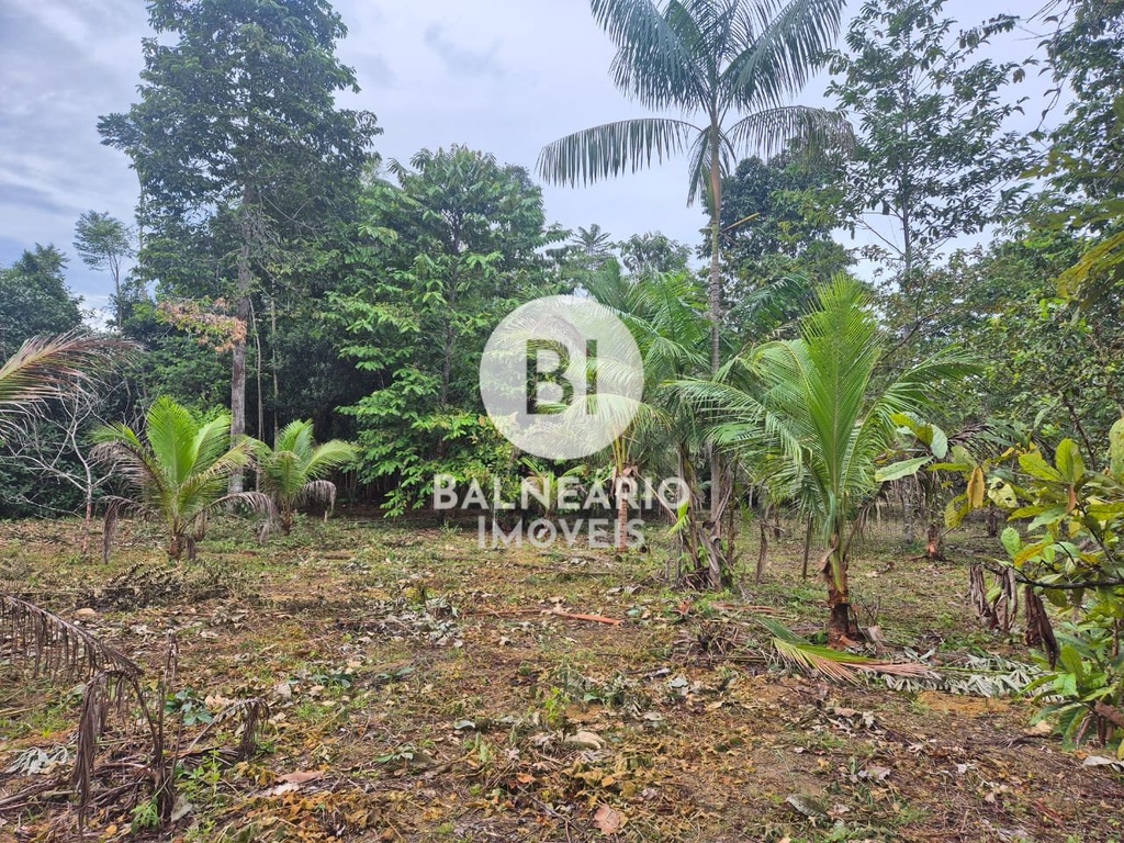 commercial-/-agricultural-2-quartos-ipora-rio-preto-da-eva-am