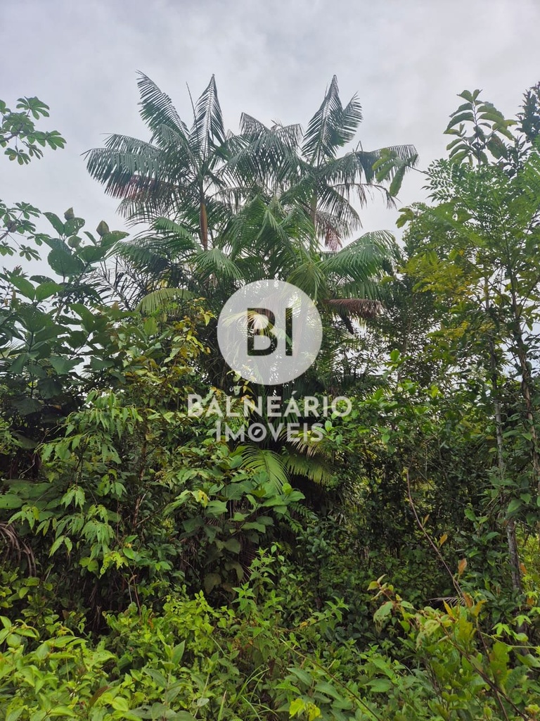 commercial-/-agricultural-2-quartos-ipora-rio-preto-da-eva-am