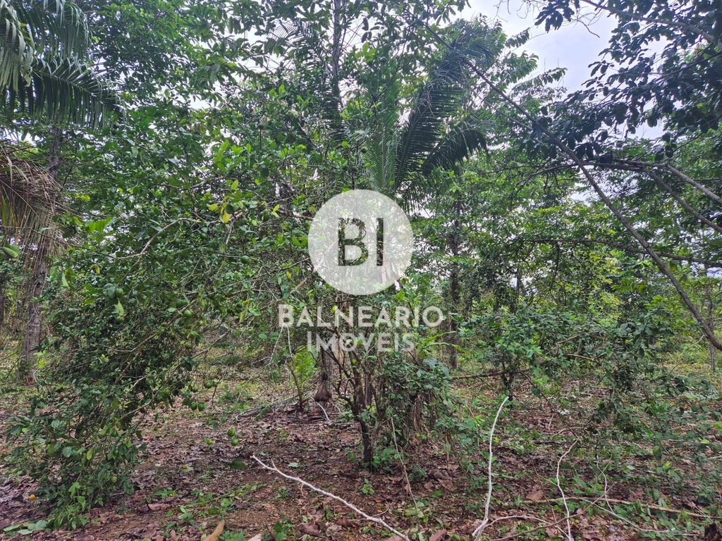 commercial-/-agricultural-2-quartos-ipora-rio-preto-da-eva-am