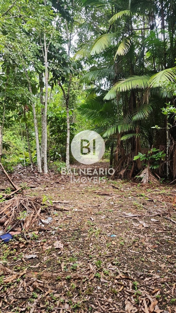 commercial-/-agricultural-2-quartos-ipora-rio-preto-da-eva-am