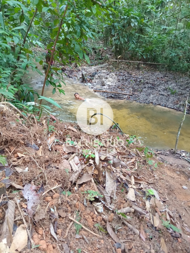 residential-/-land-lot-zona-rural-rio-preto-da-eva-am