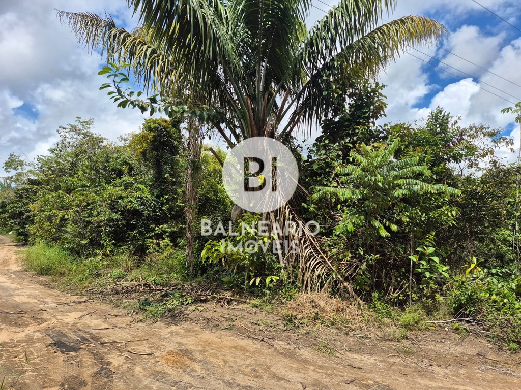 residential-/-land-lot-750m2-expansao--rio-preto-da-eva-am