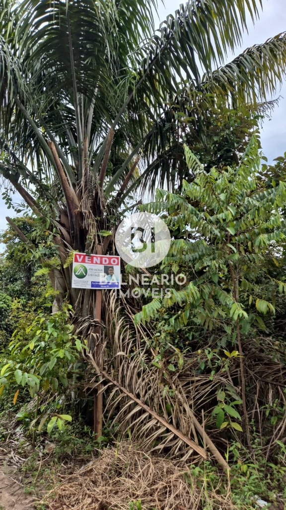 residential-/-land-lot-750m2-expansao--rio-preto-da-eva-am