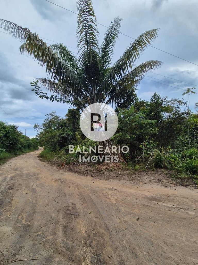 residential-/-land-lot-750m2-expansao--rio-preto-da-eva-am