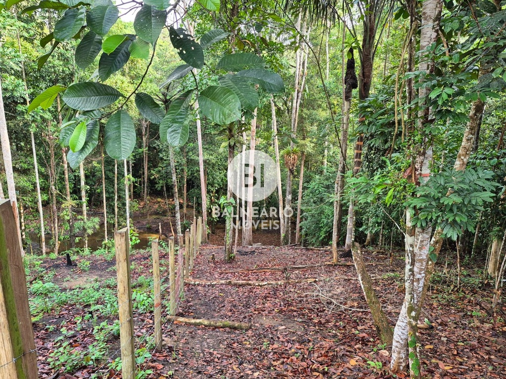 commercial-/-agricultural-2-quartos-90m2-zona-rural-rio-preto-da-eva-am