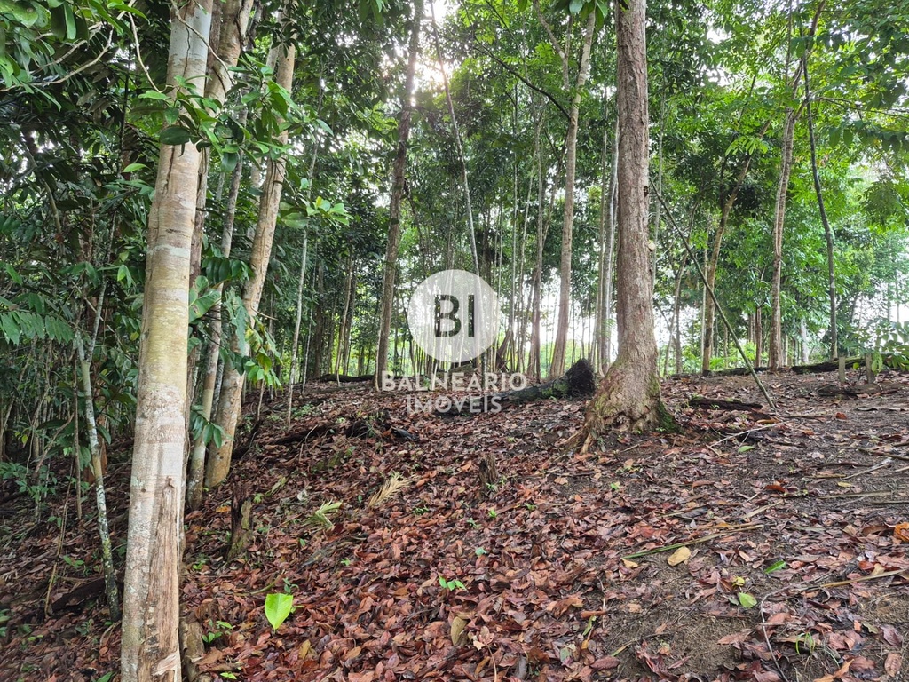 commercial-/-agricultural-2-quartos-90m2-zona-rural-rio-preto-da-eva-am