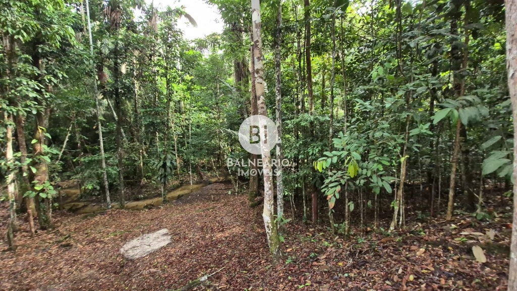 commercial-/-agricultural-2-quartos-90m2-zona-rural-rio-preto-da-eva-am