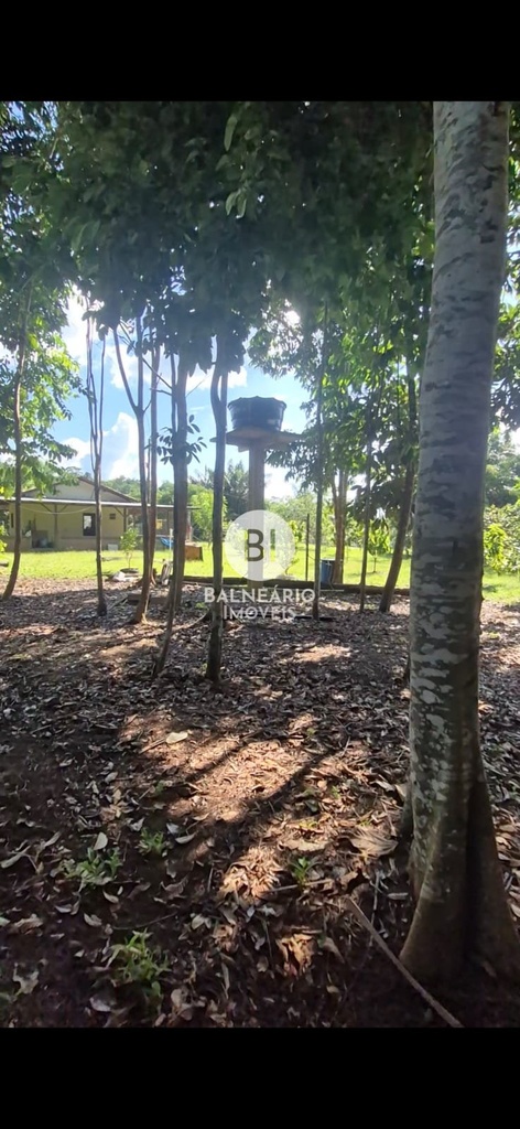 commercial-/-agricultural-2-quartos-90m2-zona-rural-rio-preto-da-eva-am